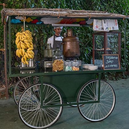 Cardamom County By Xandari Hotel Thekkady Kültér fotó
