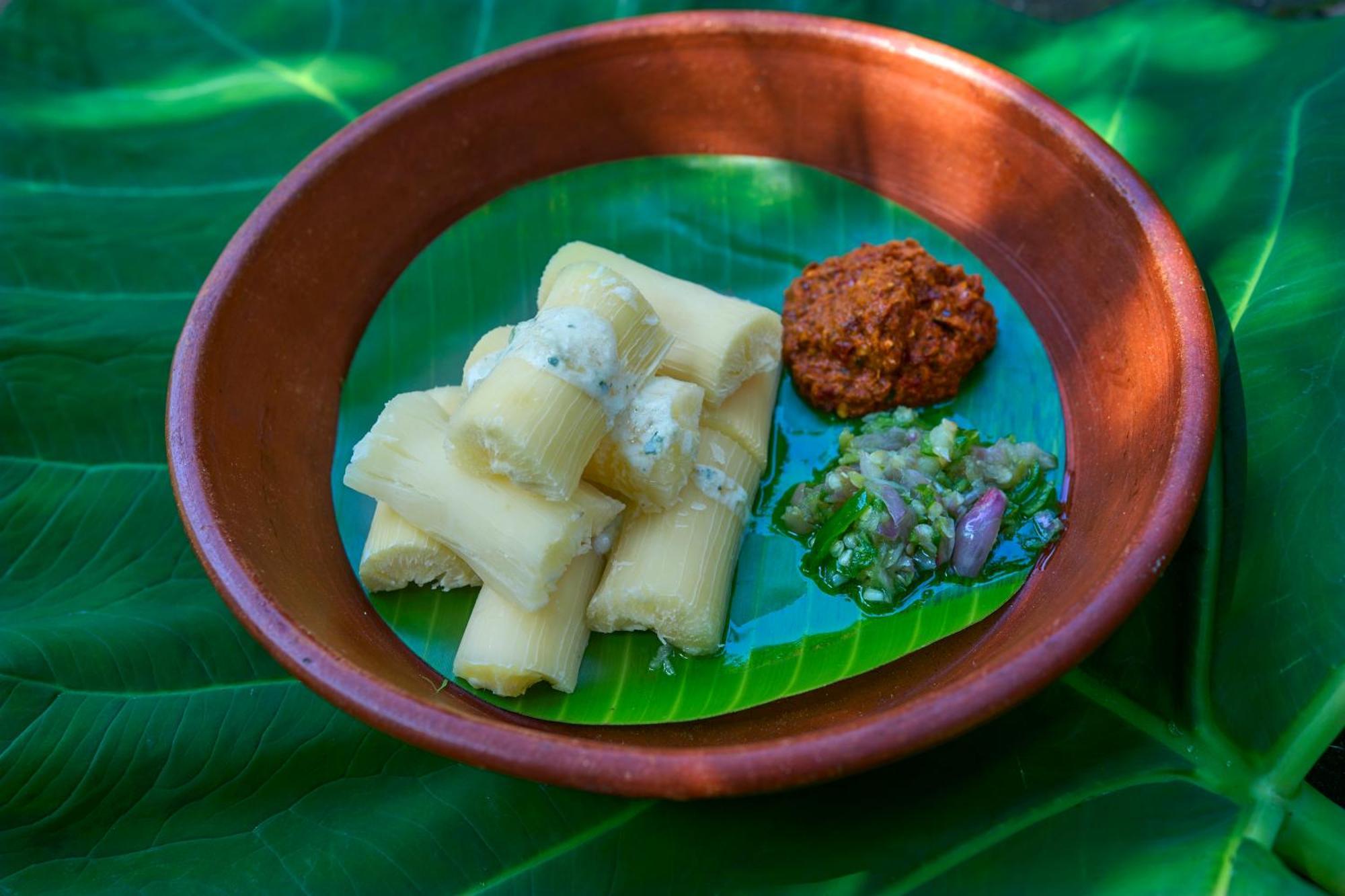 Cardamom County By Xandari Hotel Thekkady Kültér fotó